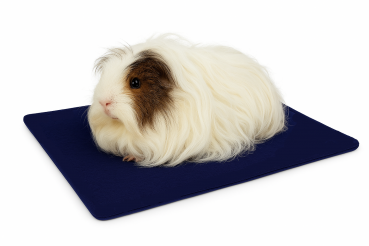 Lazzyys Pipi Pad – saugstark & schnell trocknend | Oberseite Fleece mit saugstarker Einlage | Handgefertigt in Deutschland | Wiederverwendbar für Meerschweinchen & Kleintiere