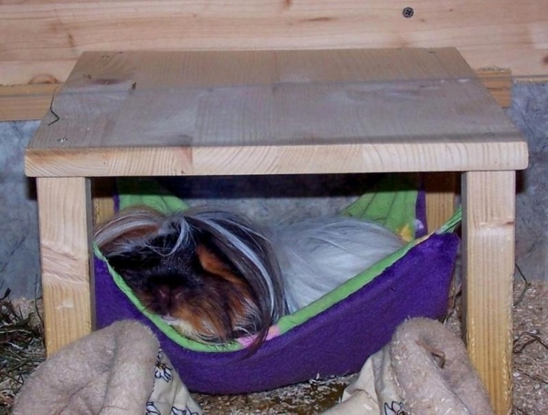 Kuschelsachenset 4 Teile, Hängemattengestell, Hängematte, Kuschelrolle, Kuschelsack, dunkelblau mit weissen Punkten