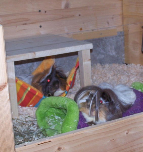 Kuschelsachenset 3 Teile, Hängemattengestell, Hängematte, Kuschelsack, große Eulen, grüner Fleece