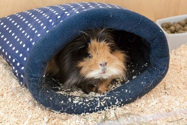 Kuschelsachenset 3 Teile, Hängemattengestell, Hängematte, Kuschelsack, große Eulen, grüner Fleece